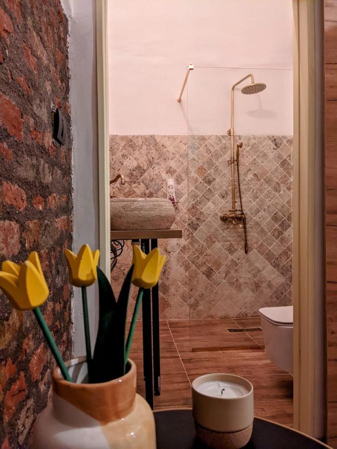The Industrique Home - 3 Bedroom Apartment Τιμισοάρα Εξωτερικό φωτογραφία