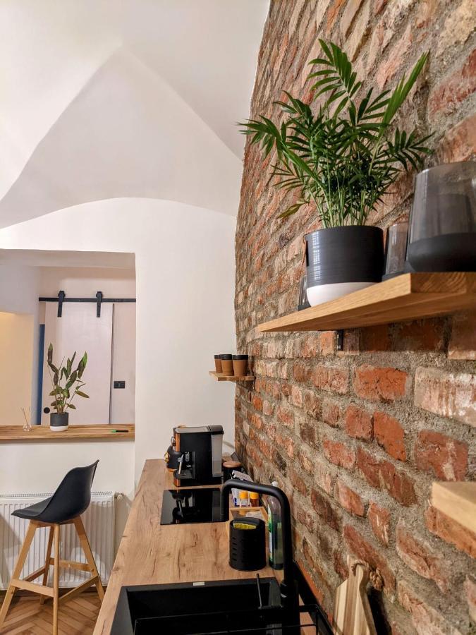 The Industrique Home - 3 Bedroom Apartment Τιμισοάρα Εξωτερικό φωτογραφία